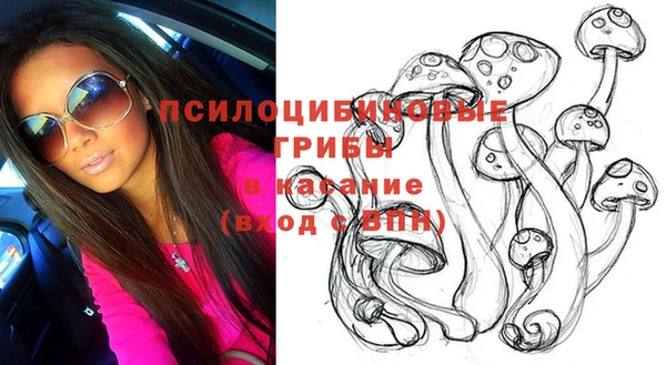 соль ск Алексеевка