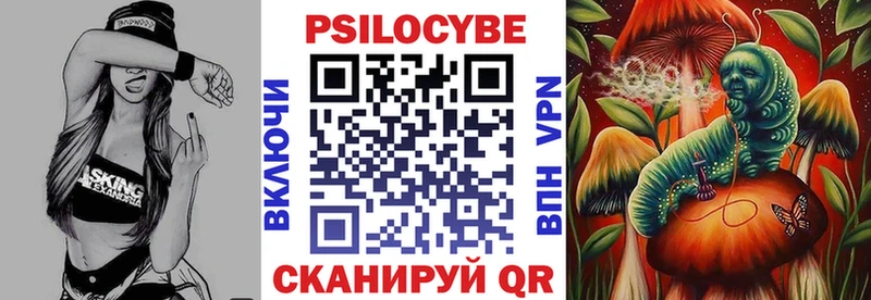 Галлюциногенные грибы Psilocybe  Саянск 