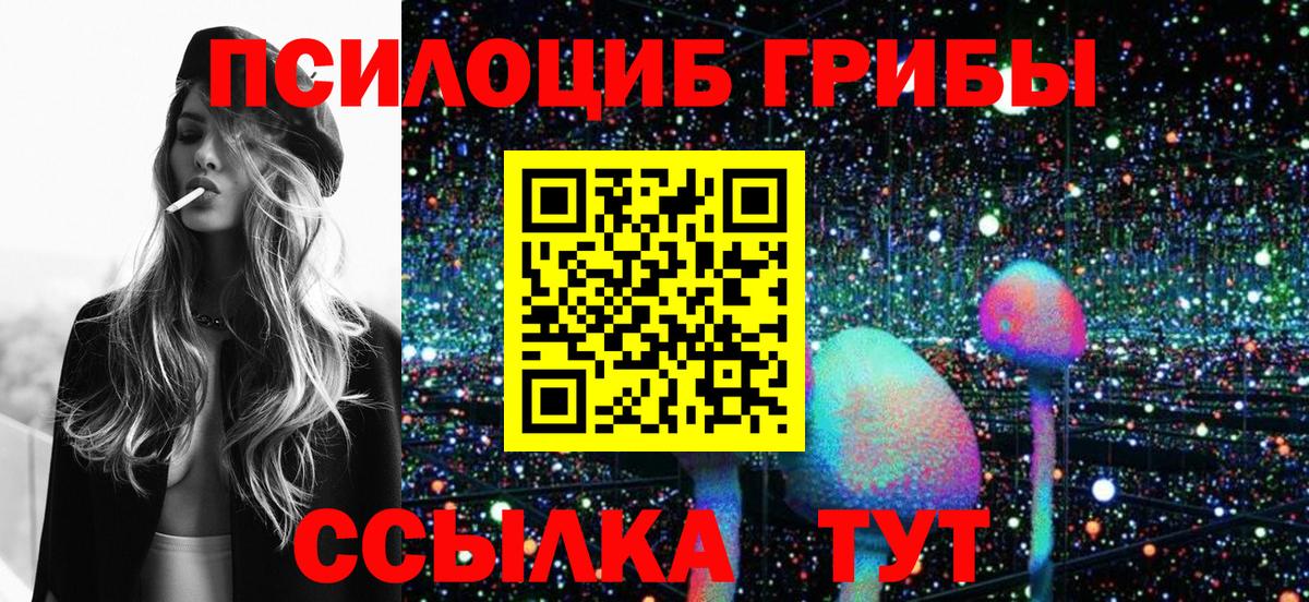 Псилоцибиновые грибы мицелий Саянск