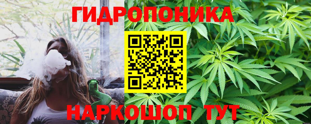 Каннабис план  Вход с VPN  Саянск  Конопля конопля  Бошки Шишки ГИДРОПОН 